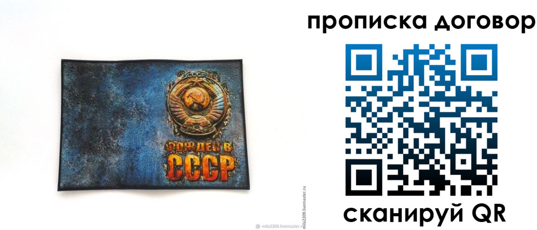 прописка 2025 в Вологде